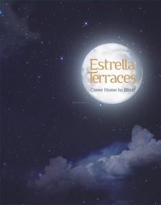 Axis Estrella Terraces Brochure 1