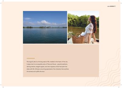 Jains Seven 77 Brochure 19