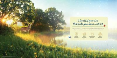 Runwal Codename Enchanted Brochure 18