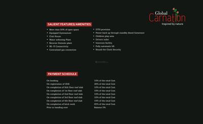 Global Carnation Brochure 11