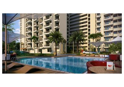 MR Platinum 321 Brochure 5
