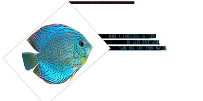 M3M Urbana Business Park Brochure 10