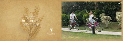 Affluence Brochure 6