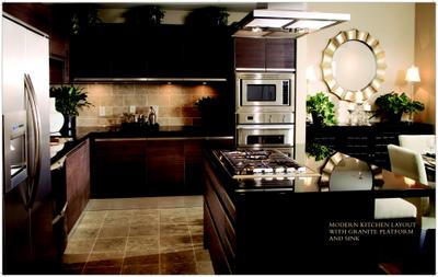 The Amazonia Brochure 10