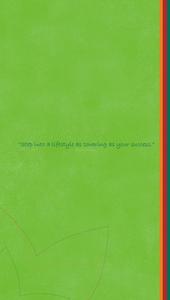 The 3C Lotus Zing Brochure 7