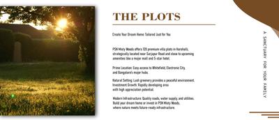 PSN Misty Woods Brochure 5