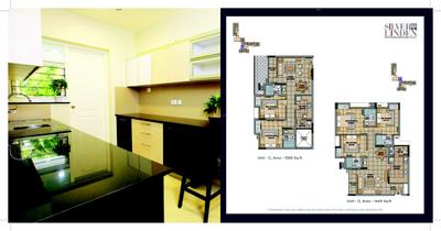 Malabar Silver Linden Brochure 8