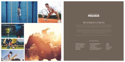 VTP Velvet Villas Brochure 36