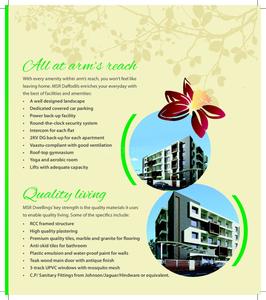 MSR Daffodils Brochure 5