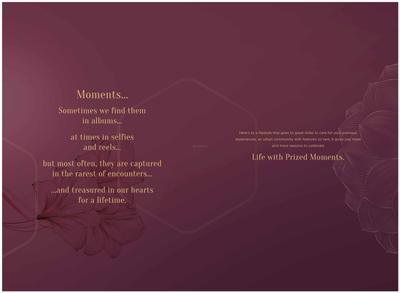 Arkade Rare Brochure 2