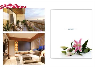 Silver Spring Brochure 12