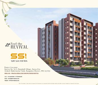 Reviva Brochure 17