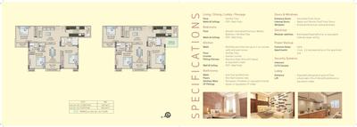 Saltee Splendora Brochure 7