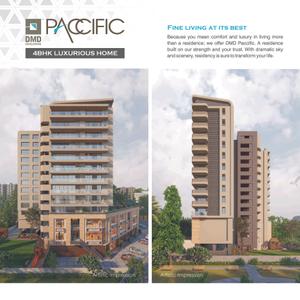 DMD Paccific Brochure 12