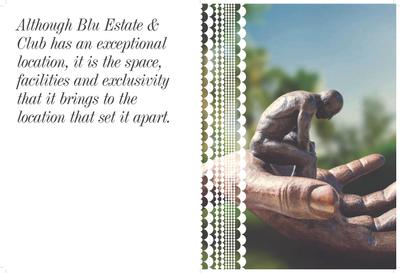 Indiabulls Blu Brochure 8