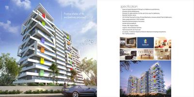 SK Briar Brochure 6