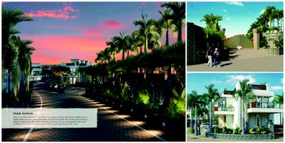 Sun Palms Brochure 4