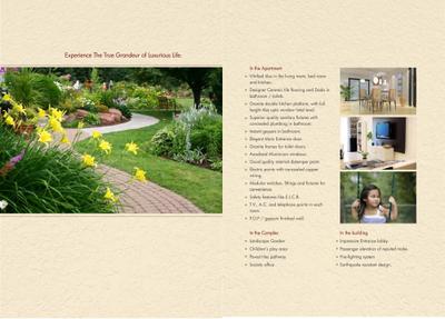 Sun Sand Dunes Brochure 6