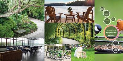 Pionier Mapple Avvenue Brochure 7
