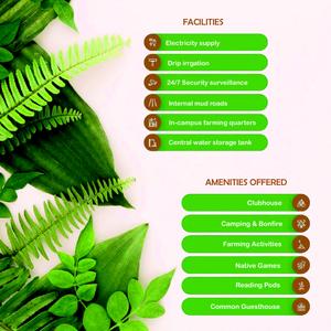 Golden Grass Brochure 18