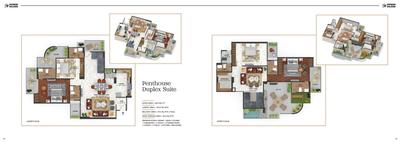 Express Zenith Brochure 20