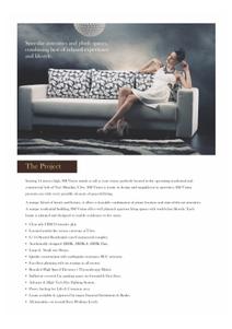 SM Vision Brochure 3