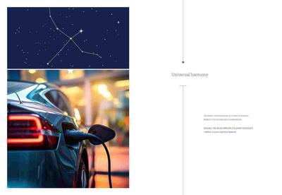 Nsl Nakshatra Brochure 37
