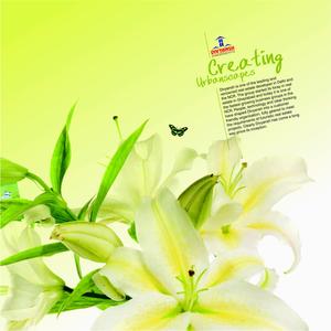 Divyansh Flora Phase 2 Brochure 3