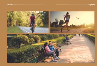 The Sephyra Brochure 13