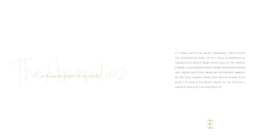 Ivory County Brochure 34