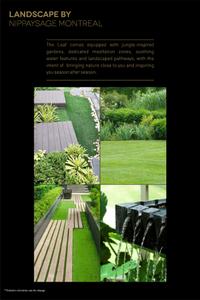 SS The Leaf Brochure 9