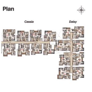 Coevolve Florenza Brochure 21