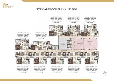 DRA Trinity Brochure 19