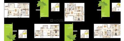 HM Tropical Tree Brochure 13