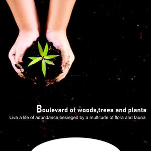 Golden Grass Brochure 8