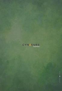 Cynosure Sunny Groves Brochure 37
