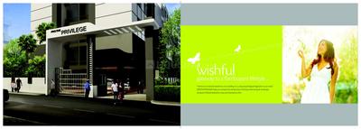 Pristine Privilege Brochure 4