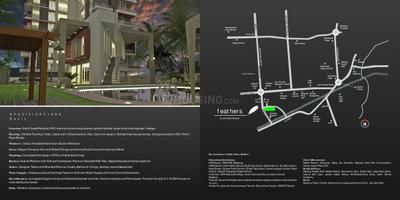 Feathers Brochure 10
