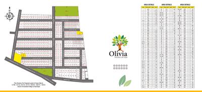 RR Olivia Brochure 4