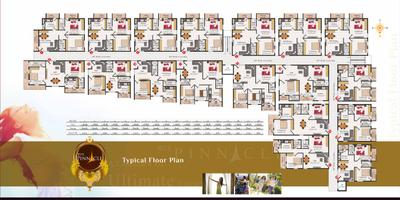 BVS Pinnacle Brochure 4