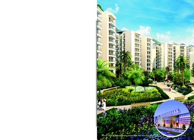 NBCC Valley View Brochure 19