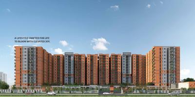 Coevolve Florenza Brochure 6
