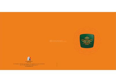 BN DM Pride Brochure 1