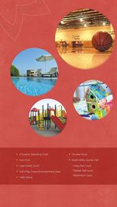 The 3C Lotus Zing Brochure 16