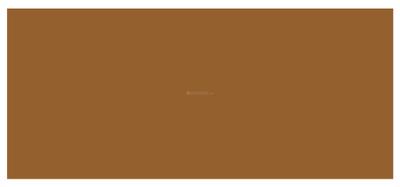 Pate Timescapes Brochure 2