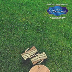 Top Five Silver Streams Brochure 1