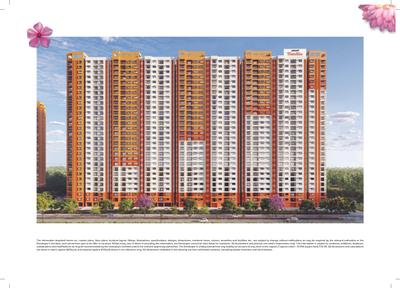 Brillio At Brigade Valencia Brochure 10