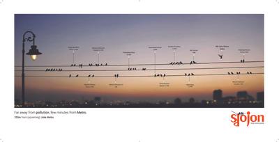 DTC Sojon Brochure 14