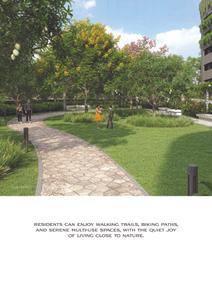 Alembic Cloud Forest Brochure 10