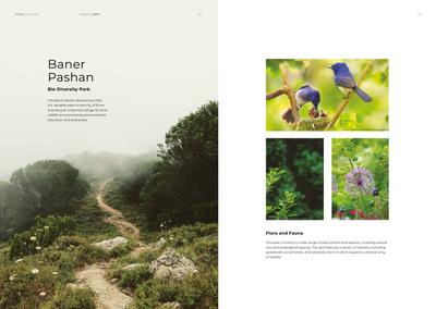 5 Maidan Brochure 12